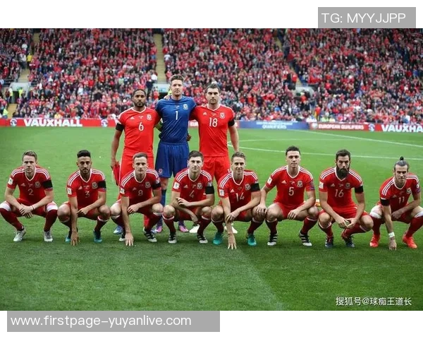 北京羽毛球队在世界杯预选赛中的团队协作表现分析与点评