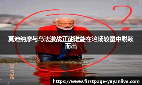 雨燕直播